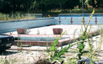 Miejski basen Olimpia popada w ruinę