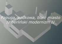 Papuga, podkowa, białe miasto – berliński modernizm