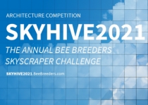 Konkurs SKYHIVE 2021 Skyscraper Challenge