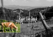 Międzynarodowy konkurs Right-Live-Stock