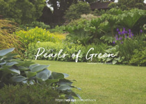 Konkurs na projekt parku "Pearls of green"